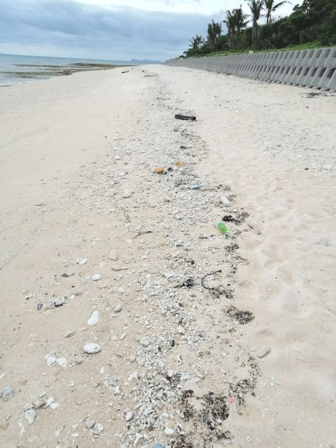 長浜ビーチのゴミ