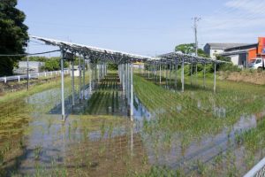 農業と太陽光発電